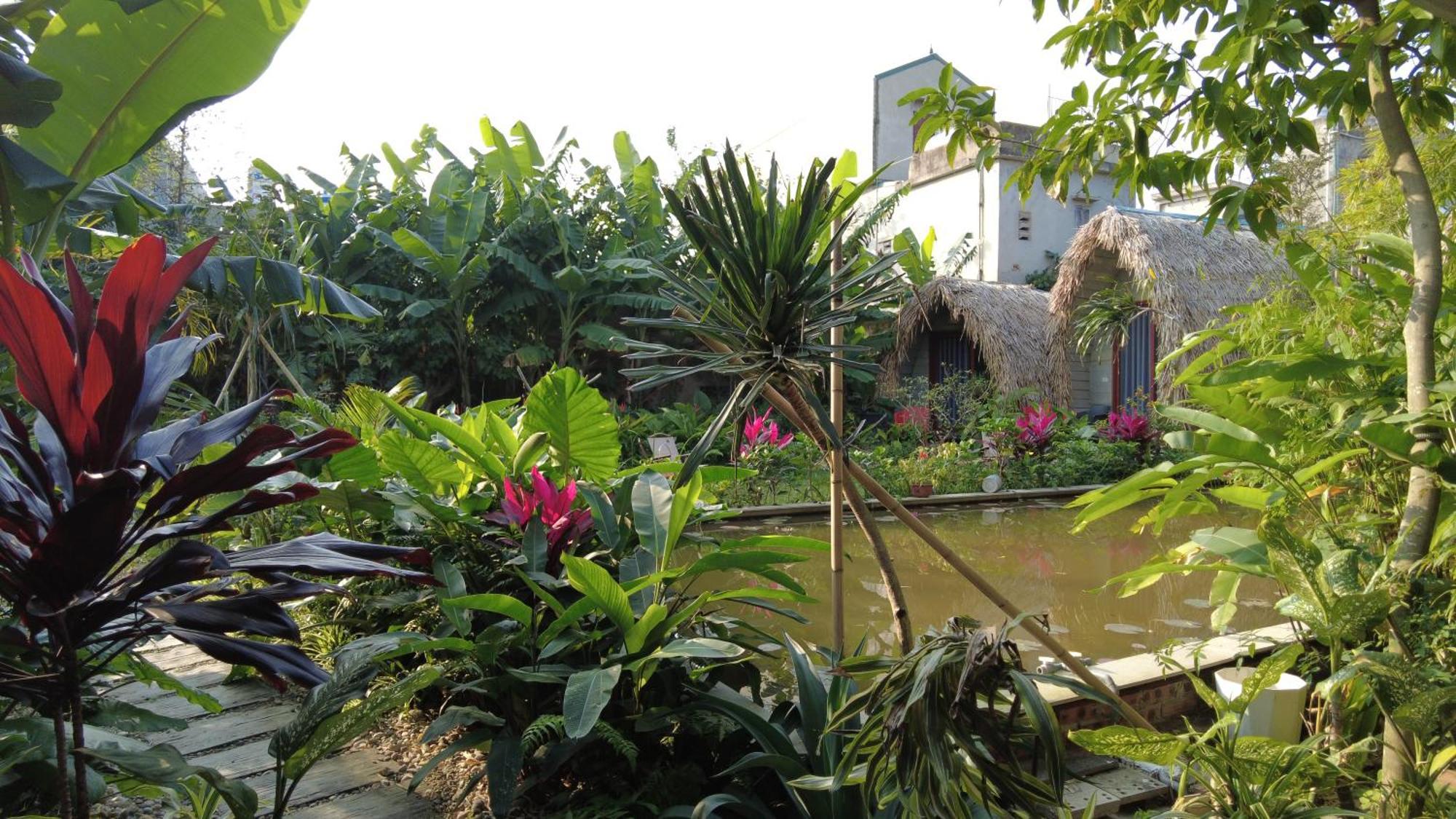 Ferienwohnung Amy House Ninh Binh Exterior foto